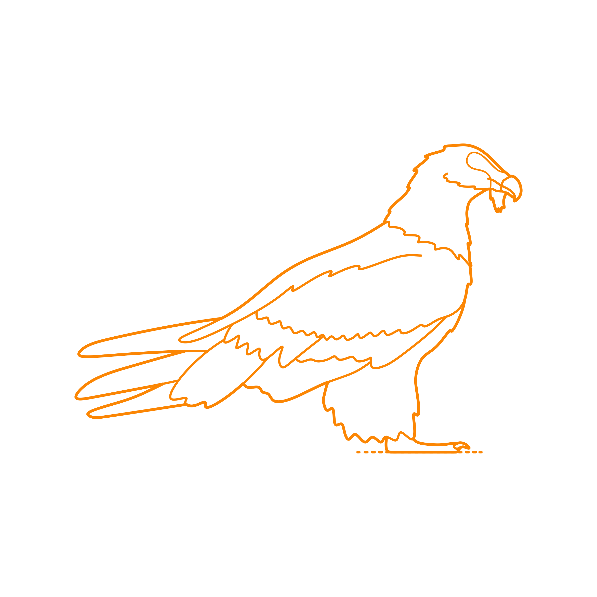Animals Birds Of Prey Bearded Vulture Svg Vector Tracing Design Free Vectors